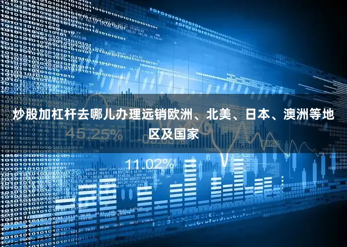 炒股加杠杆去哪儿办理远销欧洲、北美、日本、澳洲等地区及国家